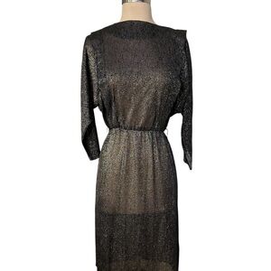 Elegant Black Sheer Dress